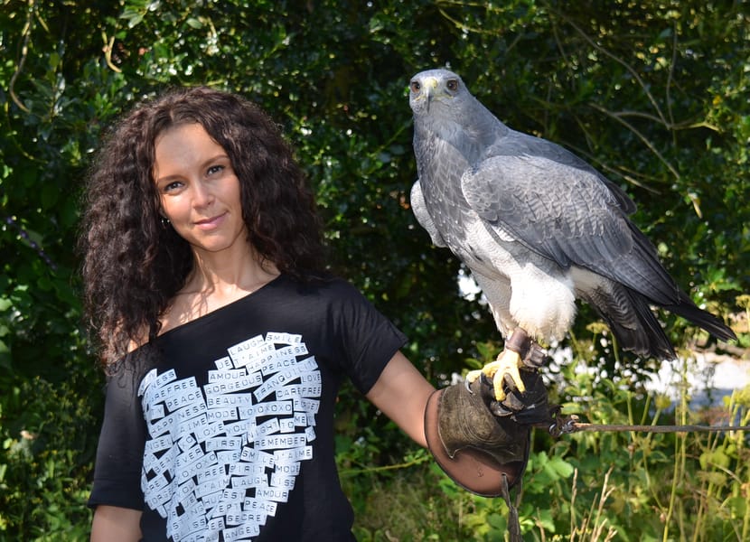 Roofvogel workshop Vogelarij Falcon Crest Eindhoven