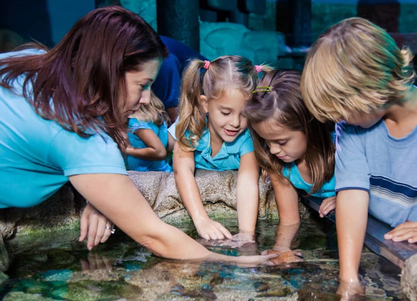 Lekker interaktief bezig zijn in Sea Life Scheveningen