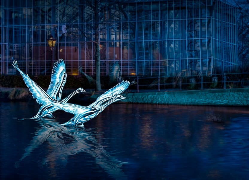 Lichtjes Festival Amsterdam