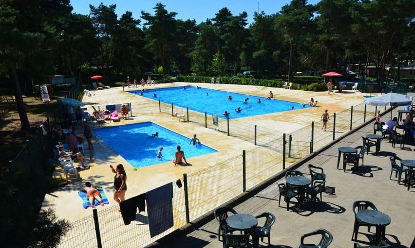 836b577ac7d26.original