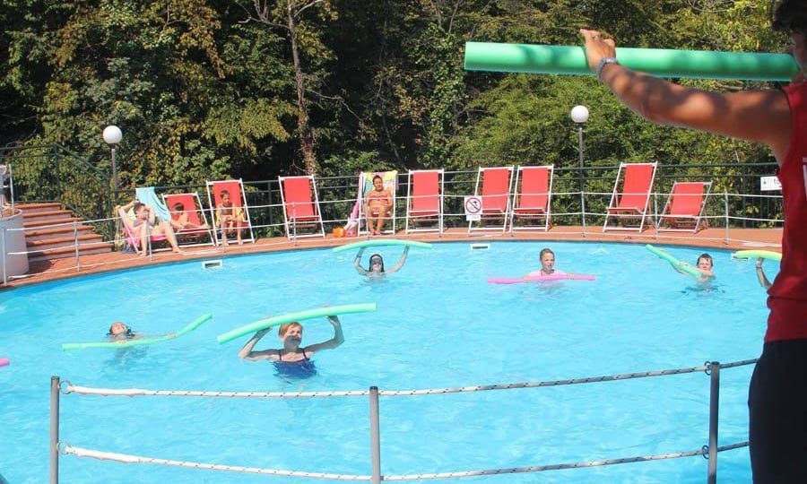 66fd5b43aefb5.original