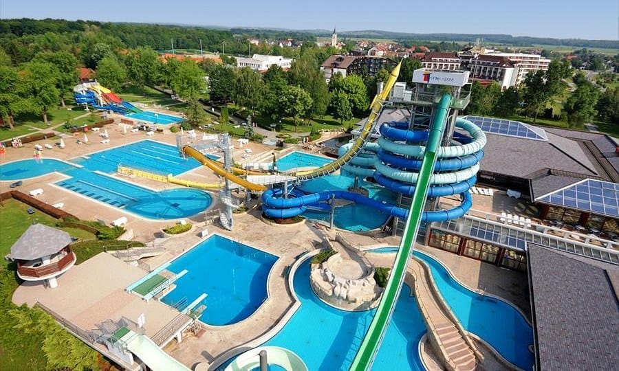 1994a0a98f916.original