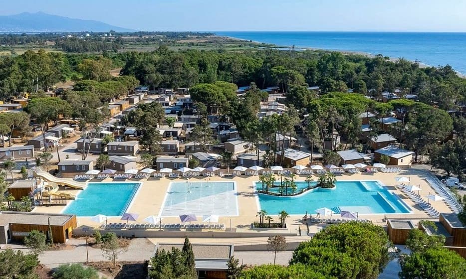 969709f718436.original