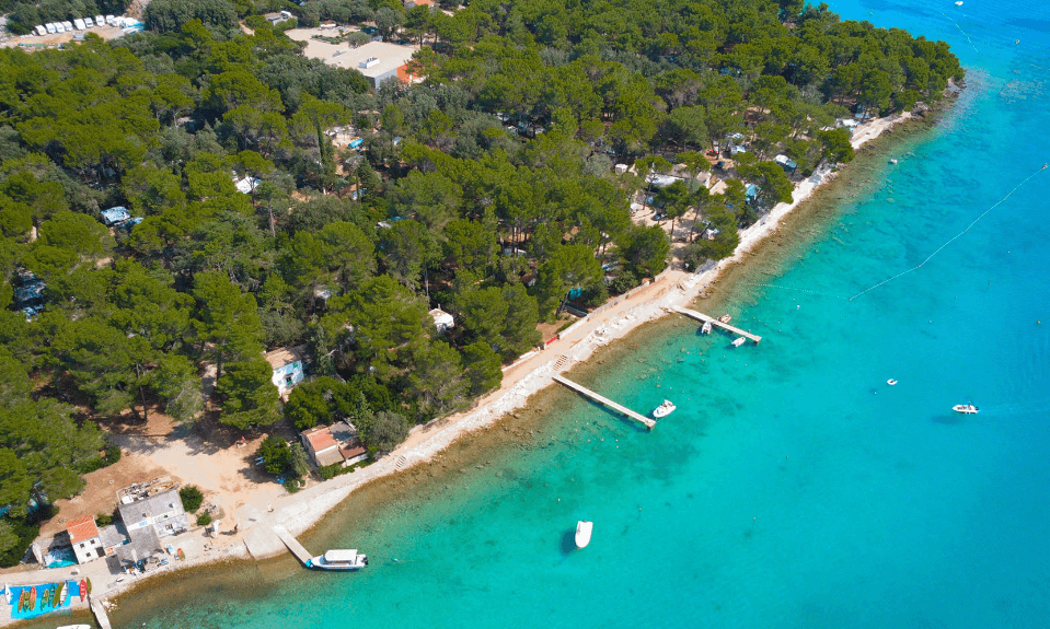 355388e6d4836.original