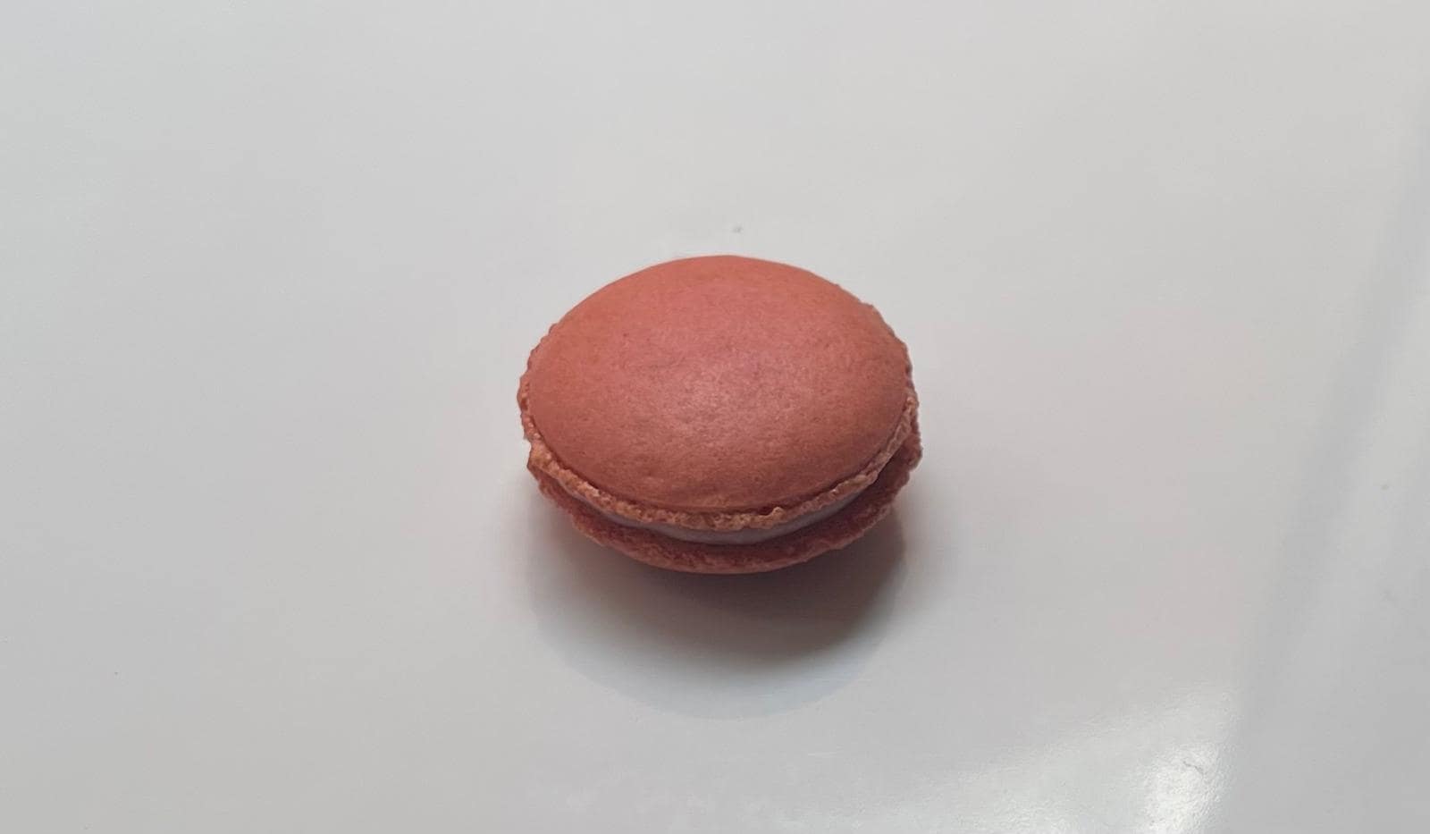Macaron Aardbei