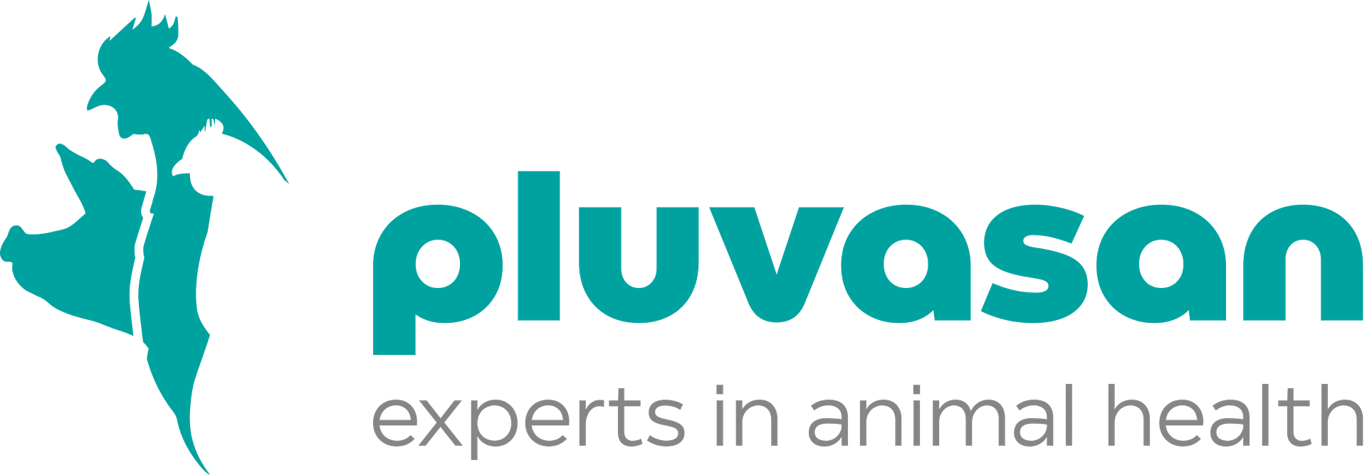 Pluvasan