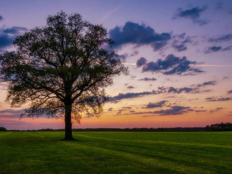 Prachtige natuur tijdens je toertocht.