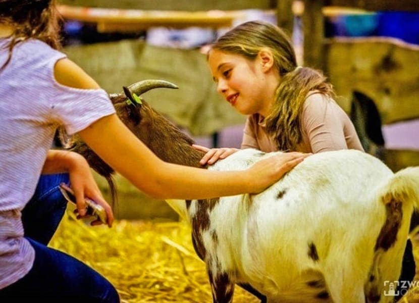 Van alles is er mogelijk in het Kinderparadijs.