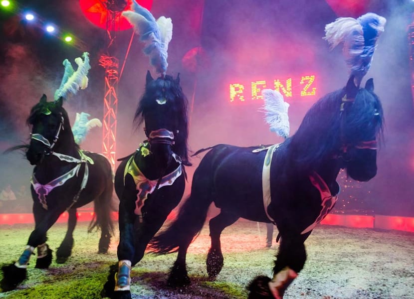 Kerstcircus Renz Berlin